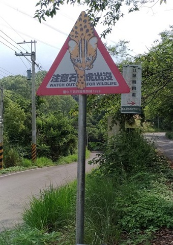 保育石虎　中市擬定石虎保育自治條例